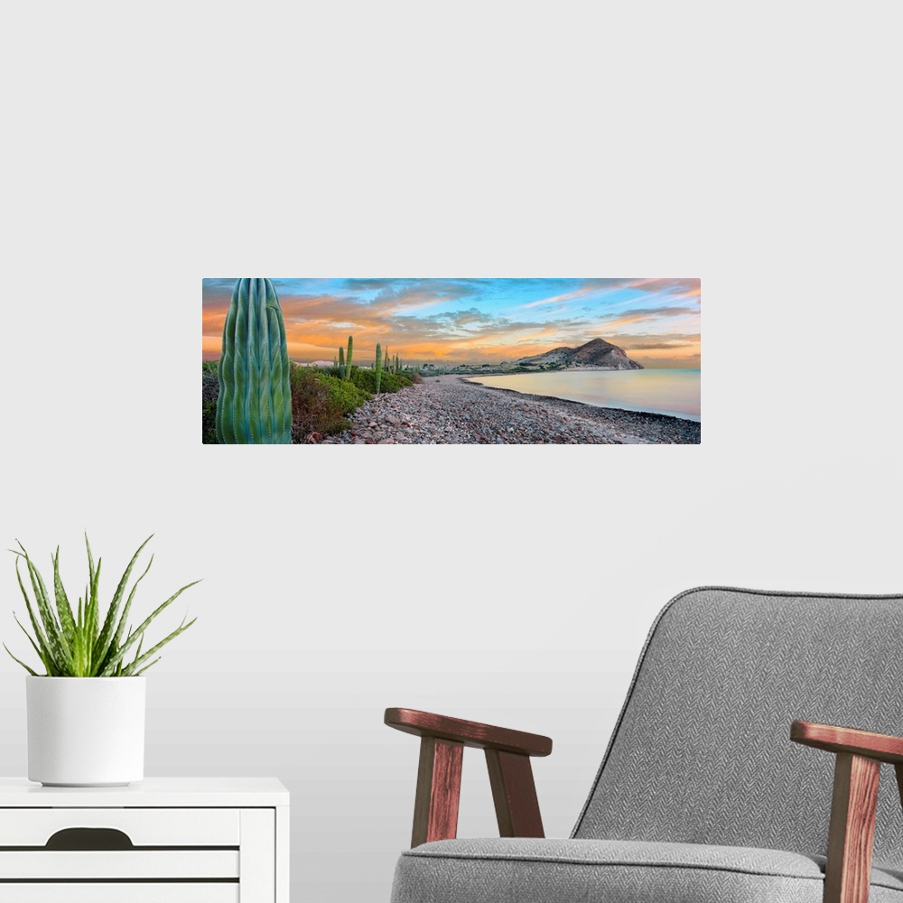 A modern room featuring Cardon cacti line along the coast, Bay of Concepcion, Sea of Cortez, Mulege, Baja California Sur,...