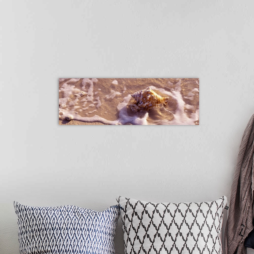 A bohemian room featuring Long panoramic artwork of a sea shell on the beach with water hitting it.
