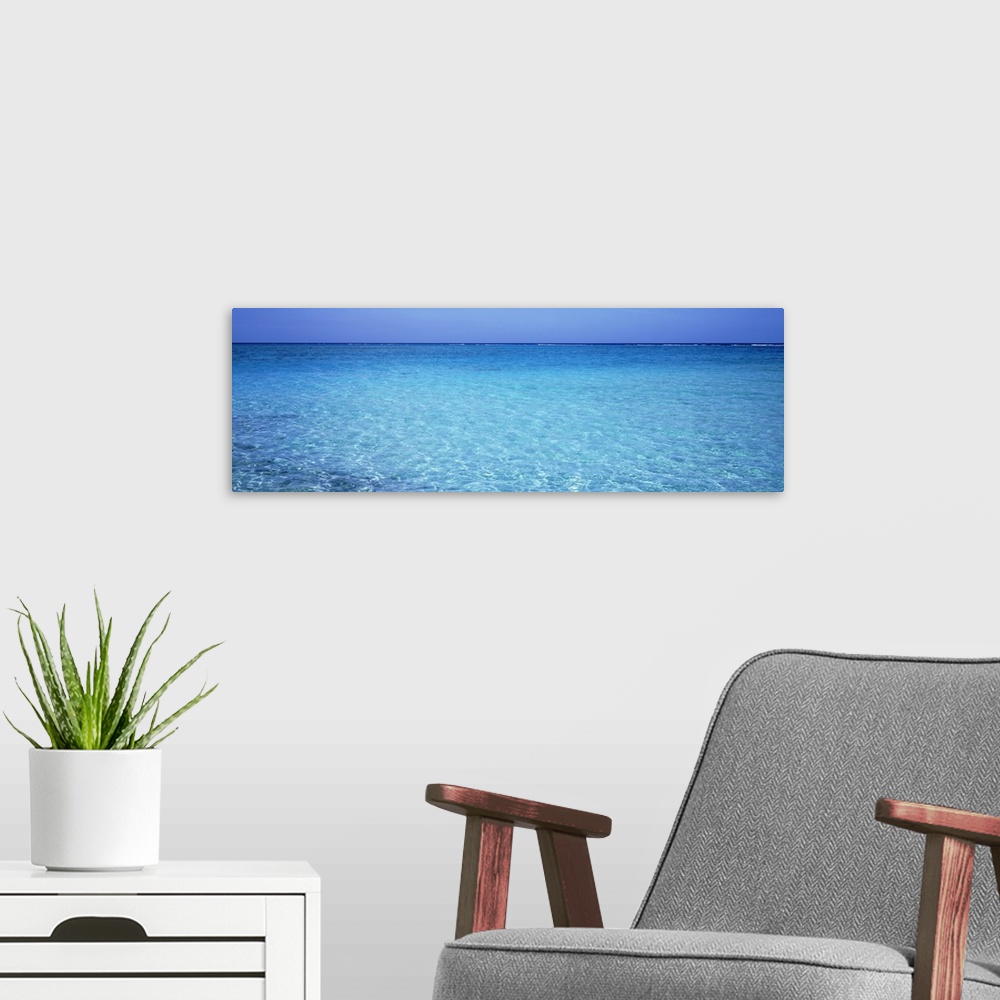 A modern room featuring Long panoramic photo print of crystal clear ocean water in the Caribbean.