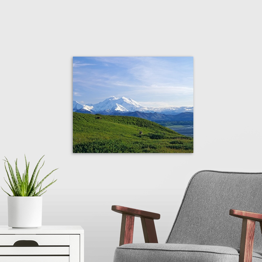 A modern room featuring Caribou (Rangifer caribou) migrating across tundra, distant Mount McKinley, Denali National Park,...