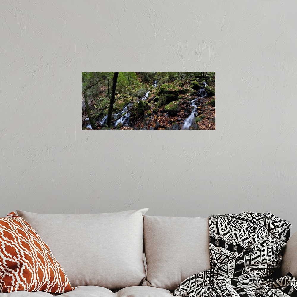 A bohemian room featuring Cataract Falls Hiking Trail, Fairfax, Marin County, California
