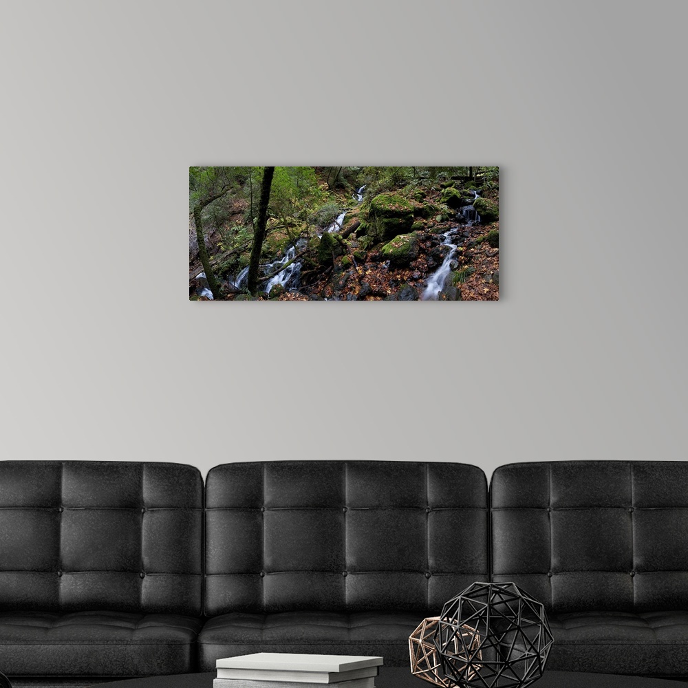 A modern room featuring Cataract Falls Hiking Trail, Fairfax, Marin County, California