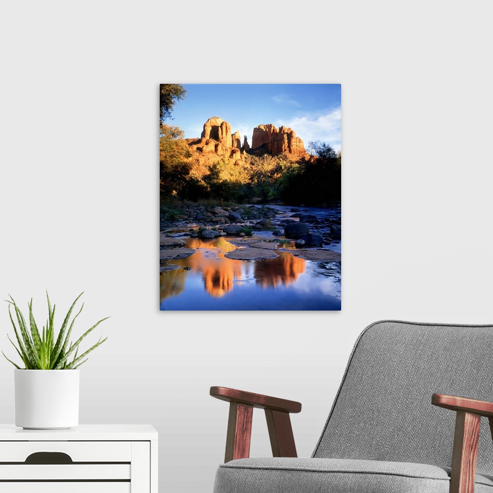 A modern room featuring Photograph of rocky stream bed surrounded by trees with canyon in distance.