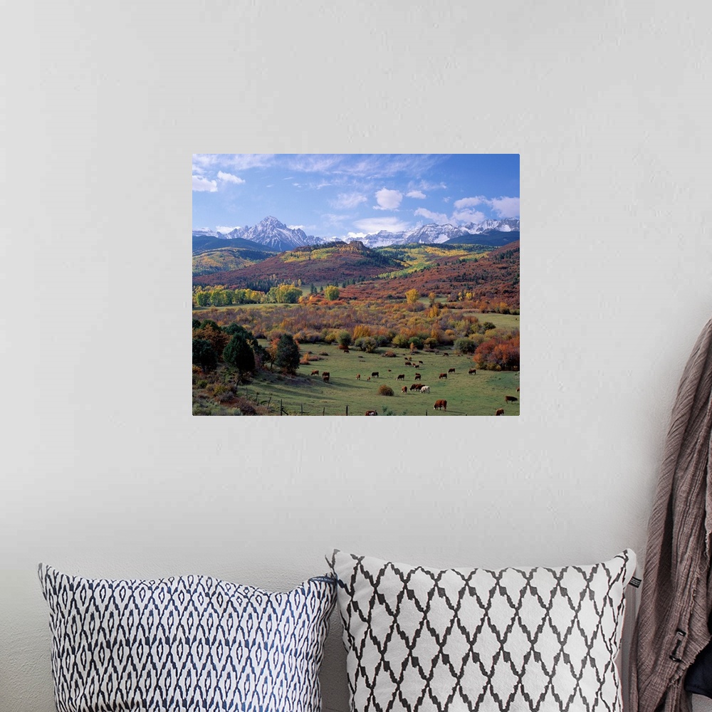 A bohemian room featuring Amazing landscape photograph of farmland, forest, and snowcapped mountains in the Rockies.