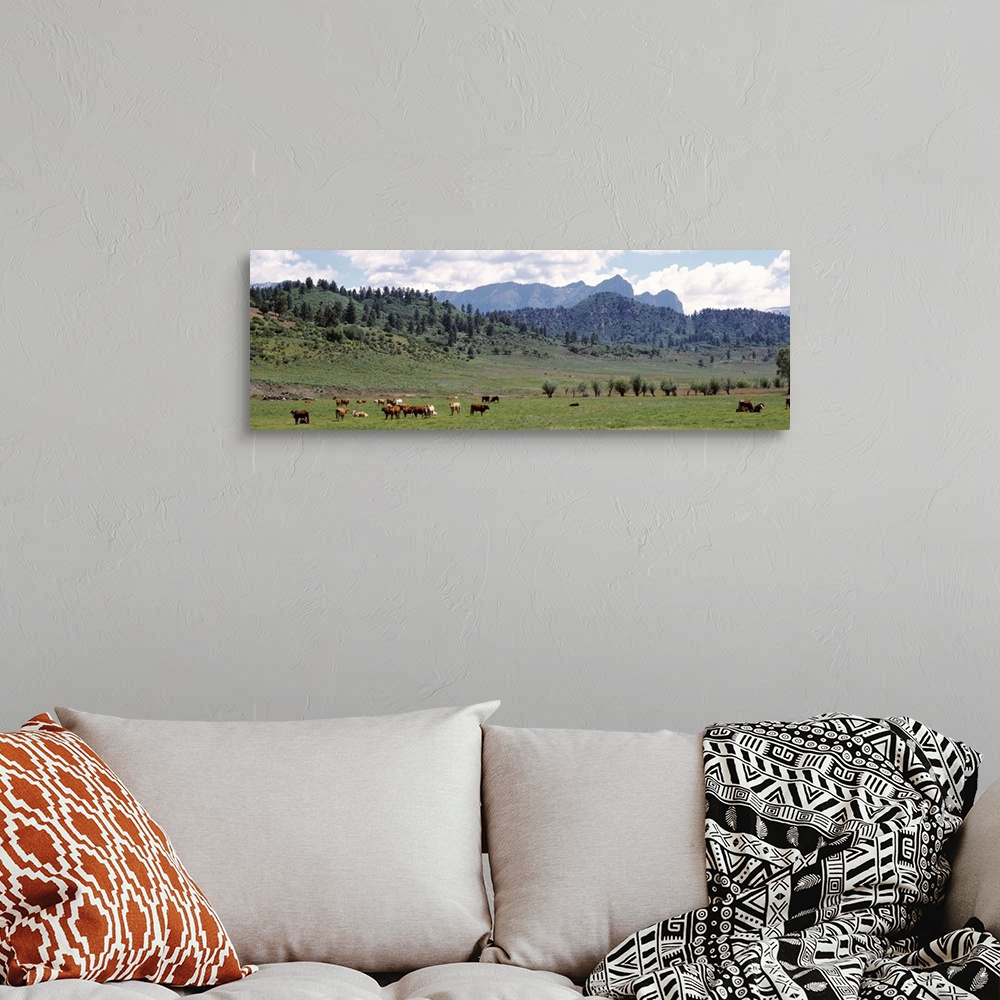 A bohemian room featuring Cattle Grazing US 84 At Chromo Colorado