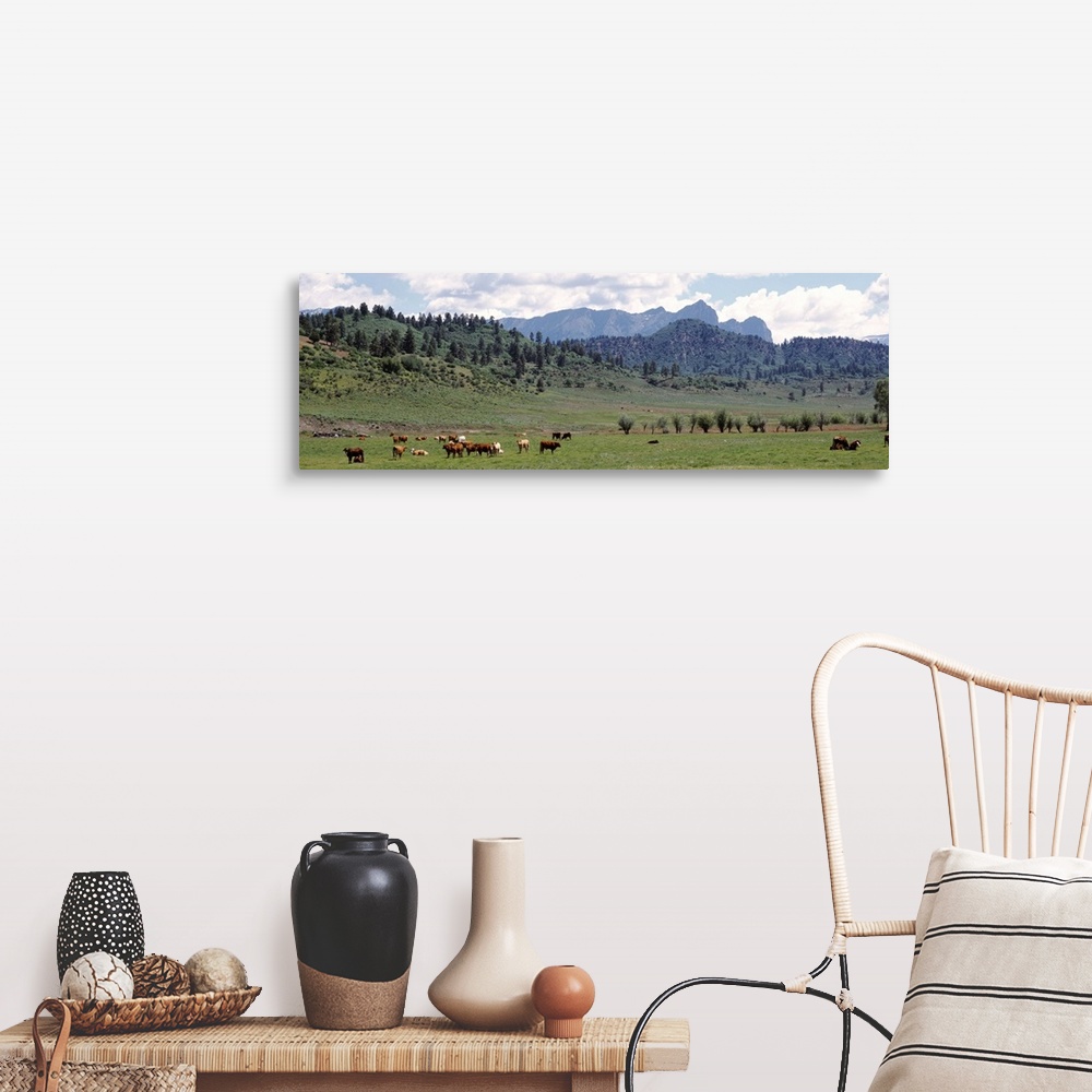 A farmhouse room featuring Cattle Grazing US 84 At Chromo Colorado