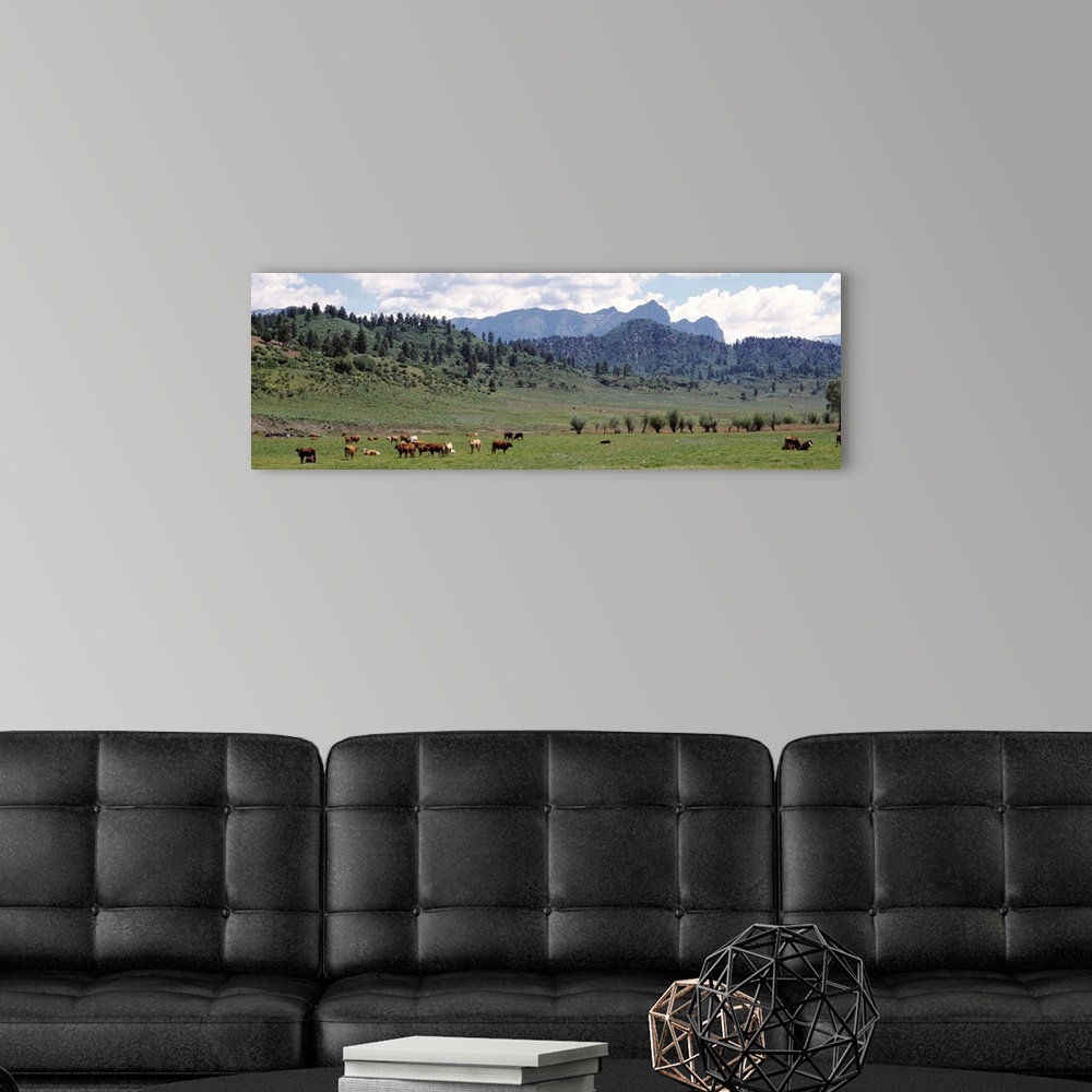 A modern room featuring Cattle Grazing US 84 At Chromo Colorado