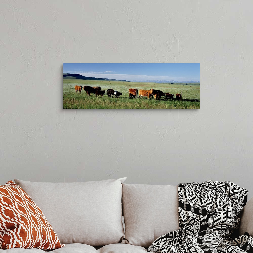 A bohemian room featuring Cattle Ranch Alberta Canada