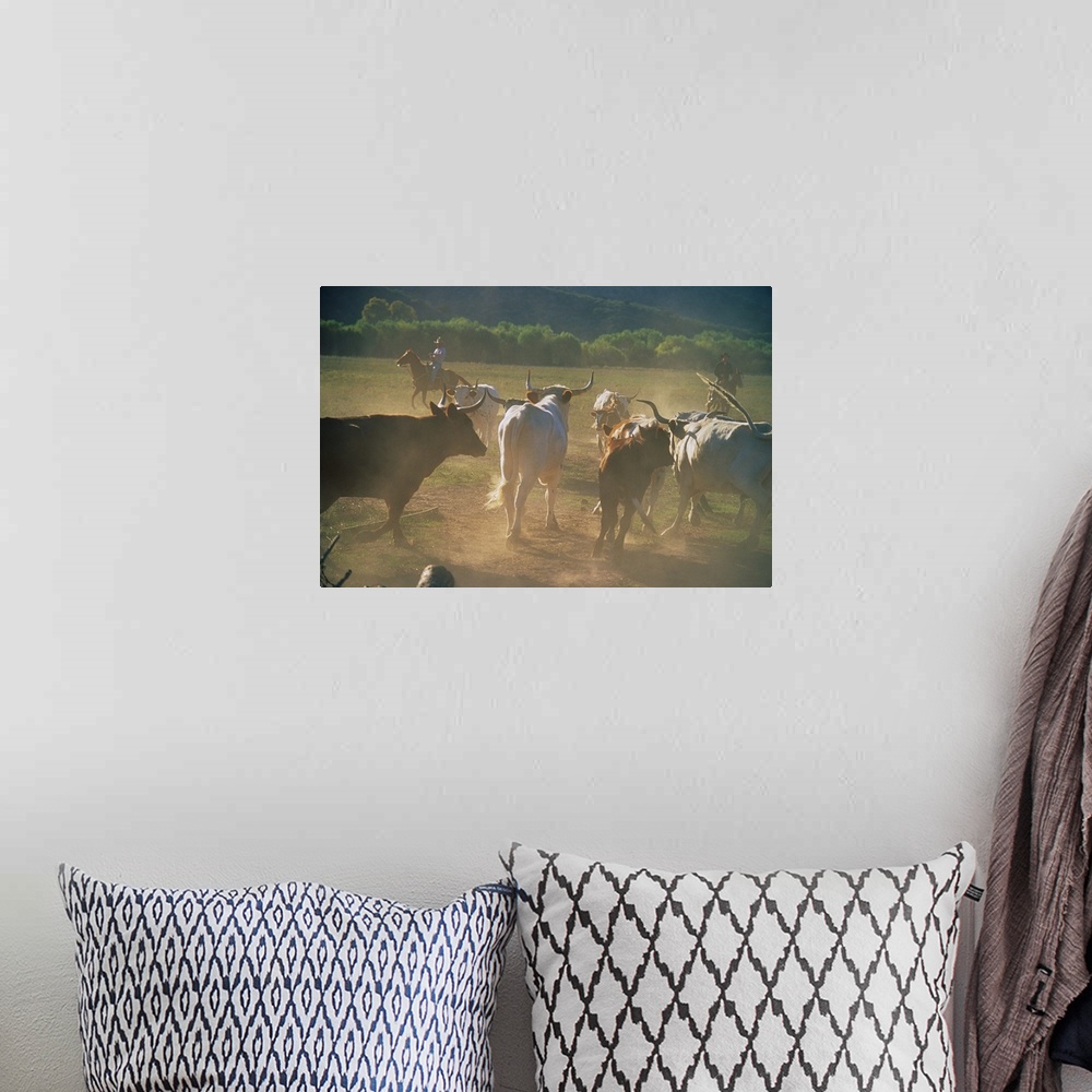 A bohemian room featuring Photograph of horseback rider wrangling herd with forest line in the distance.