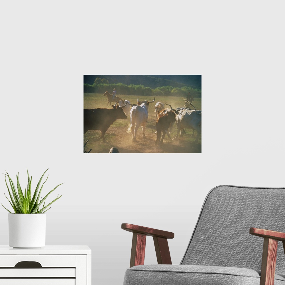 A modern room featuring Photograph of horseback rider wrangling herd with forest line in the distance.