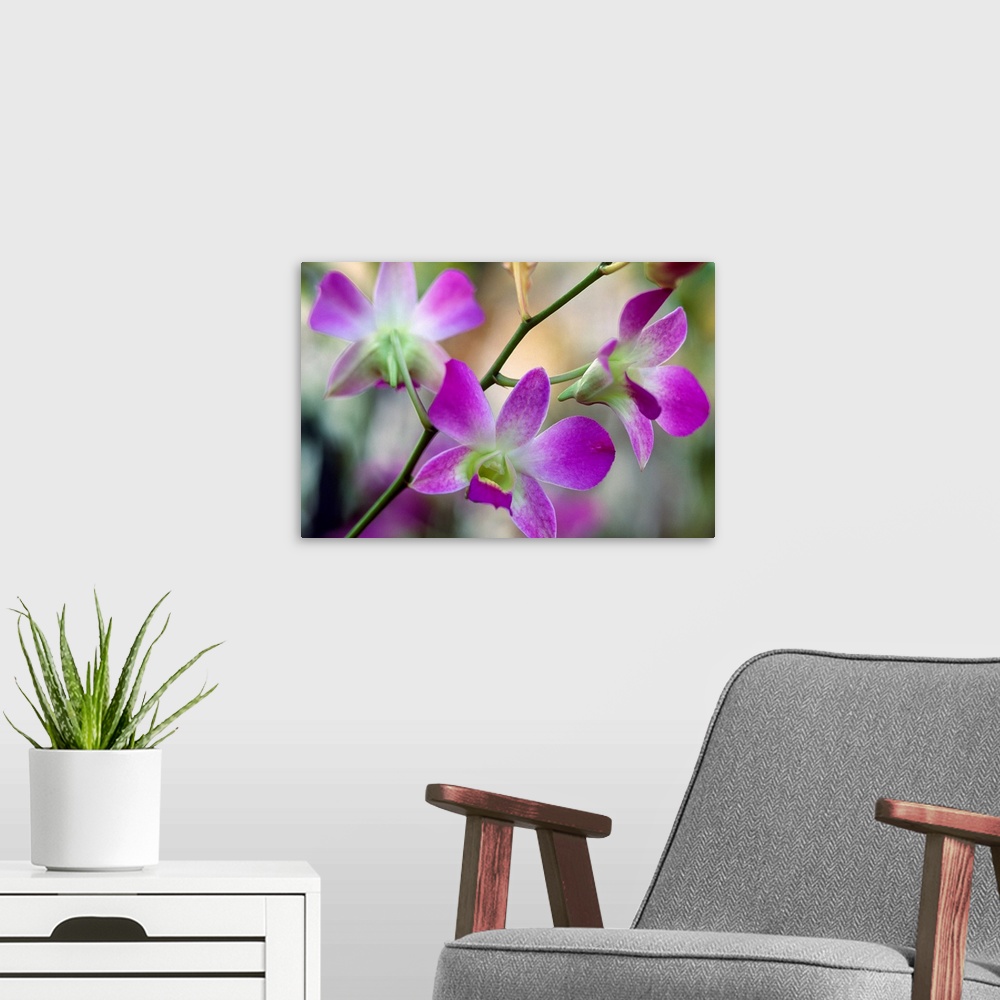 A modern room featuring Close up of flowers on horizontal wall art with an out of focus background.