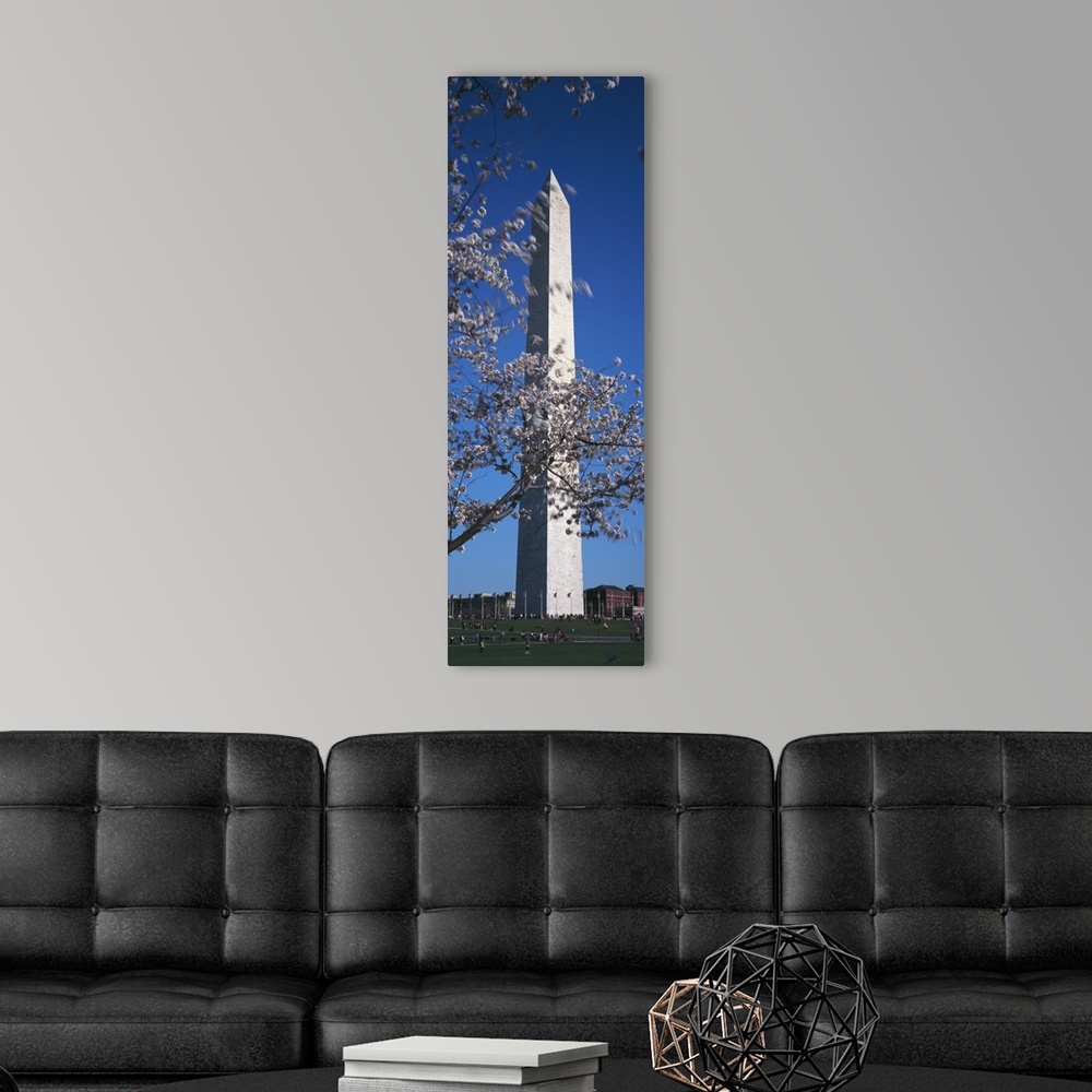 A modern room featuring Cherry Blossom in front of an obelisk Washington Monument Washington DC