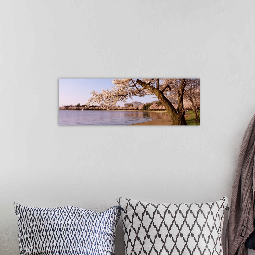 A bohemian room featuring Panoramic photograph of water lined with huge flowering trees.