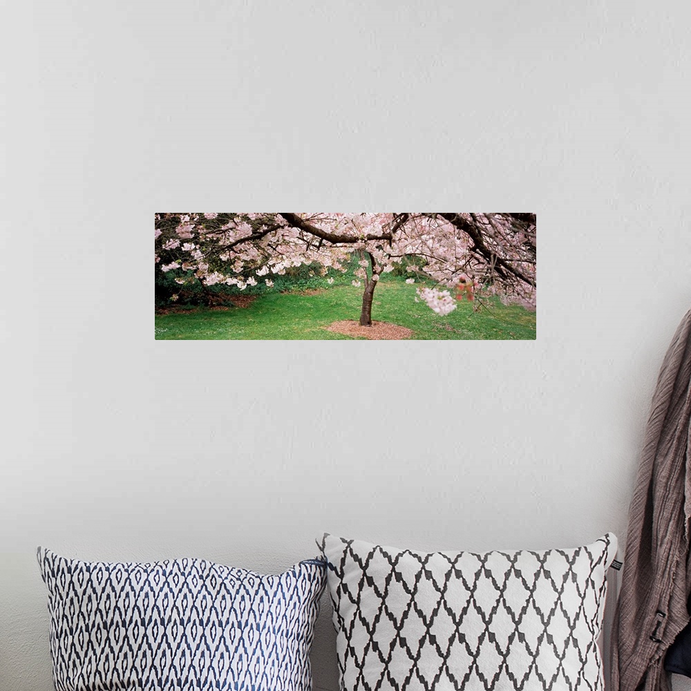A bohemian room featuring A photographic print of blossoms blooming on trees in a park.