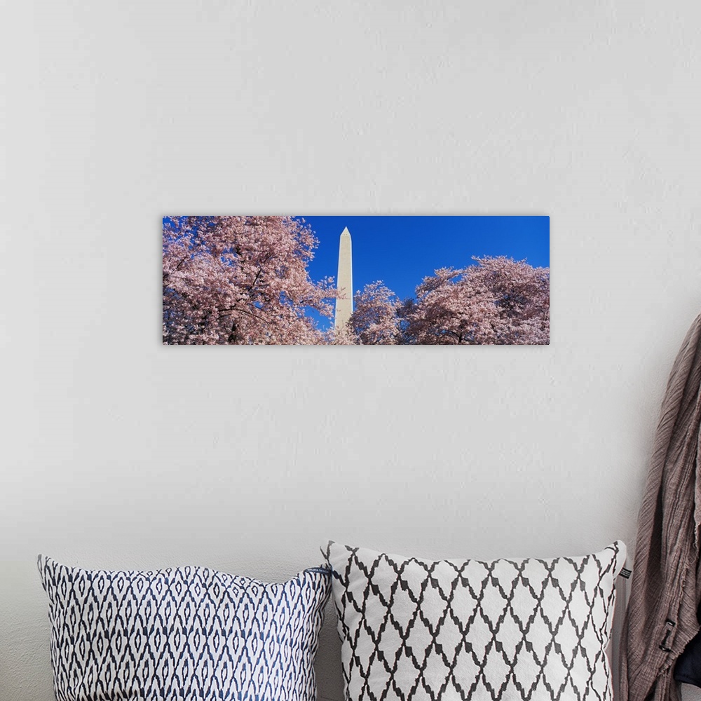 A bohemian room featuring Cherry Blossoms Washington Monument