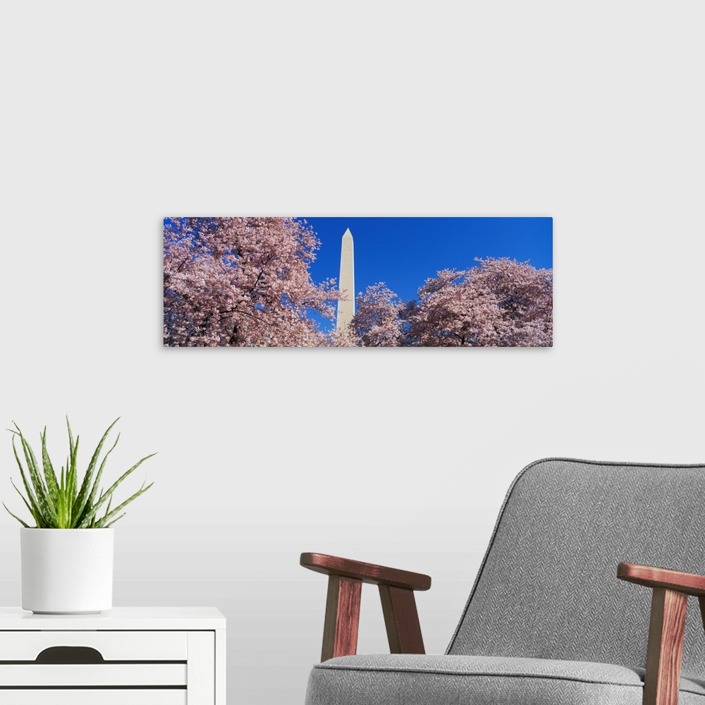 A modern room featuring Cherry Blossoms Washington Monument