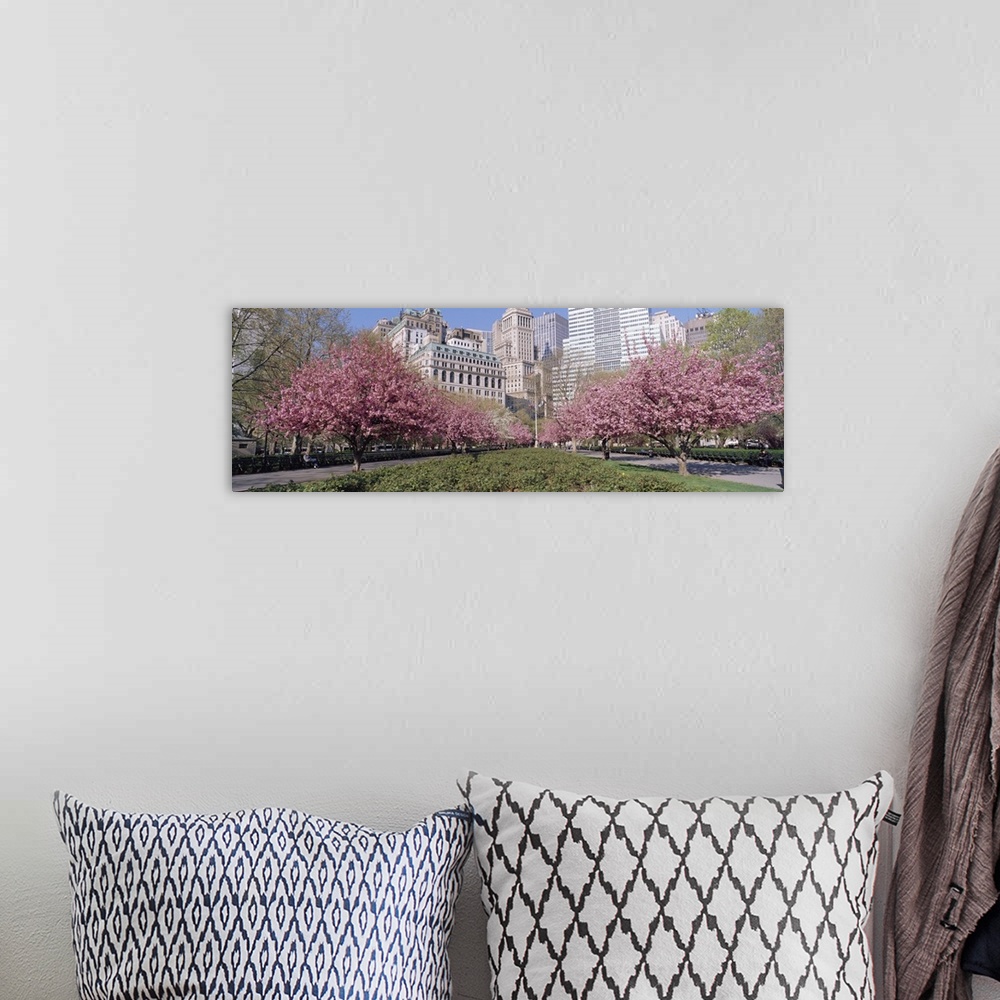 A bohemian room featuring Panoramic photograph of two huge flowering trees with city buildings and skyscrapers in the backg...