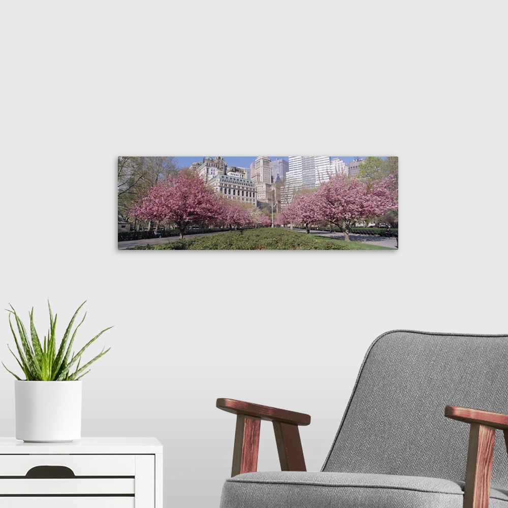 A modern room featuring Panoramic photograph of two huge flowering trees with city buildings and skyscrapers in the backg...