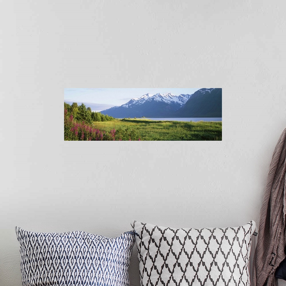 A bohemian room featuring Chilkat Inlet Haines AK