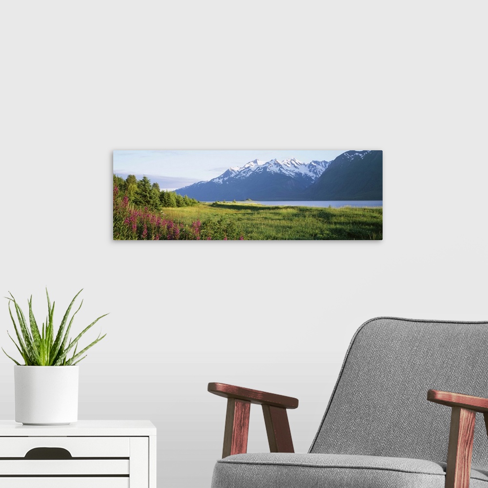 A modern room featuring Chilkat Inlet Haines AK
