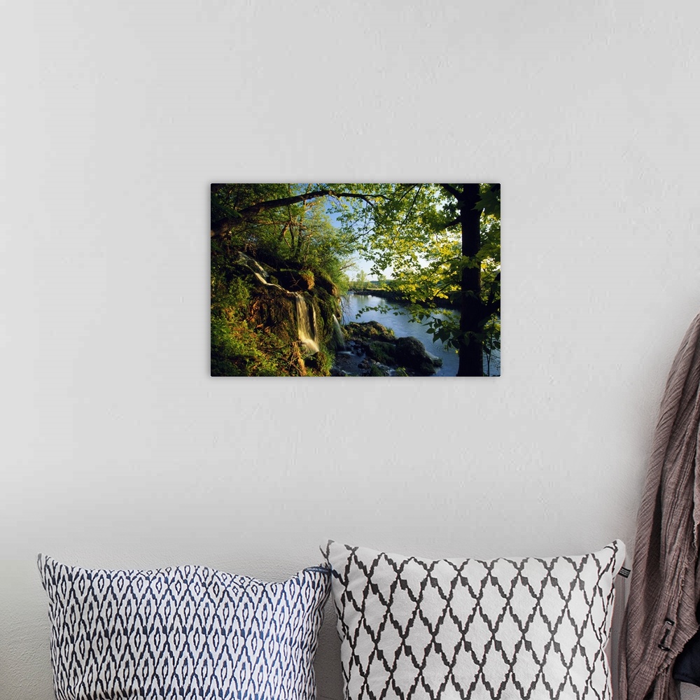 A bohemian room featuring Small waterfall with mossy rocks and leafy trees on the edge of a river in the early morning.