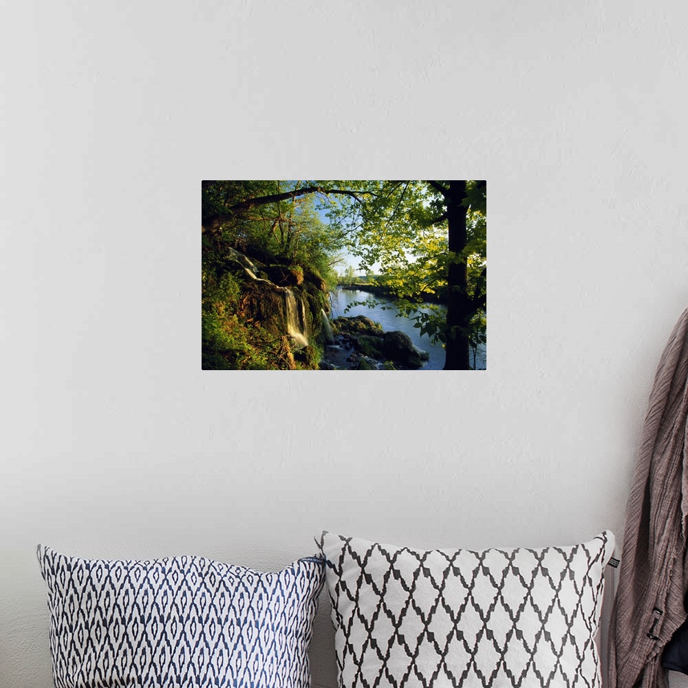 A bohemian room featuring Small waterfall with mossy rocks and leafy trees on the edge of a river in the early morning.