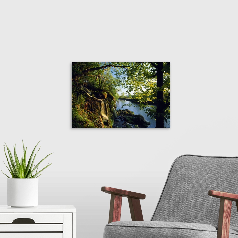 A modern room featuring Small waterfall with mossy rocks and leafy trees on the edge of a river in the early morning.