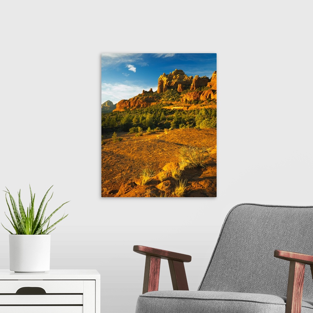 A modern room featuring Cliffs on a landscape, Crimson Cliffs, Margs Draw, Munds Mountain Wilderness, Coconino County, Ar...