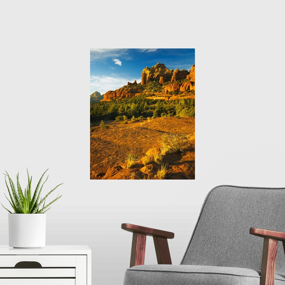 A modern room featuring Cliffs on a landscape, Crimson Cliffs, Margs Draw, Munds Mountain Wilderness, Coconino County, Ar...