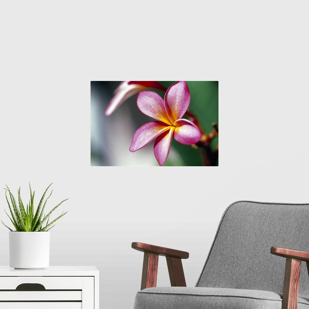 A modern room featuring Wall art of the detailed view of a flower on canvas.