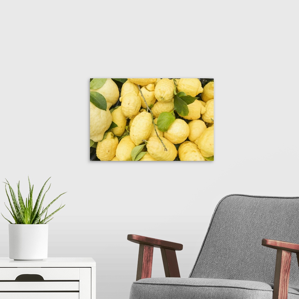 A modern room featuring Close-up of a heap of lemons, Sorrento, Campania, Italy