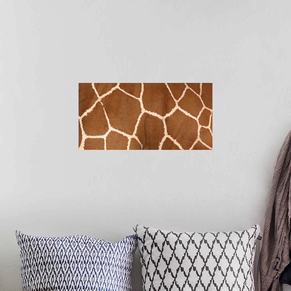 A bohemian room featuring Close up photograph of the side of a giraffe and it's markings.