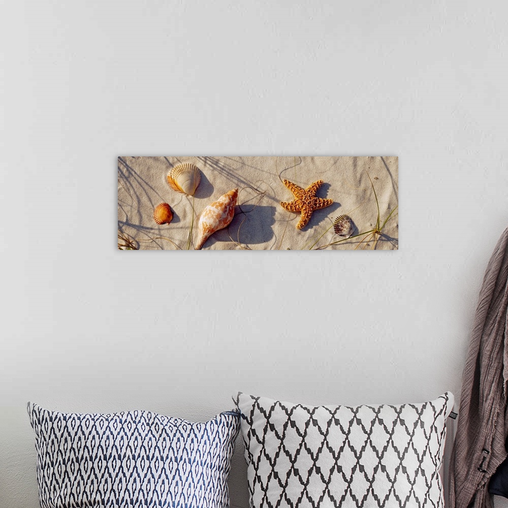 A bohemian room featuring This panoramic wall hanging shows a variety of stranded marine life and shells arranged on the sa...