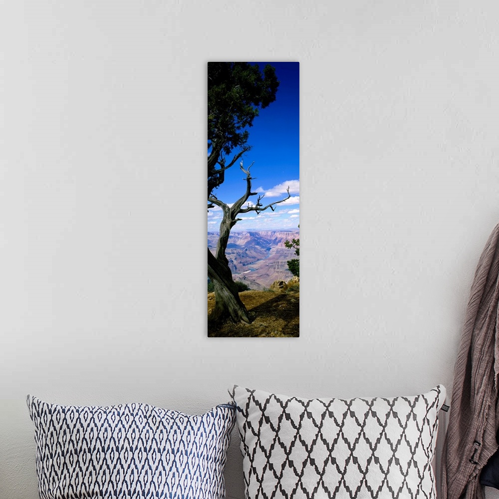 A bohemian room featuring Huge vertical photograph involving a close-up of a tree in Grand Canyon National Park, Arizona (A...