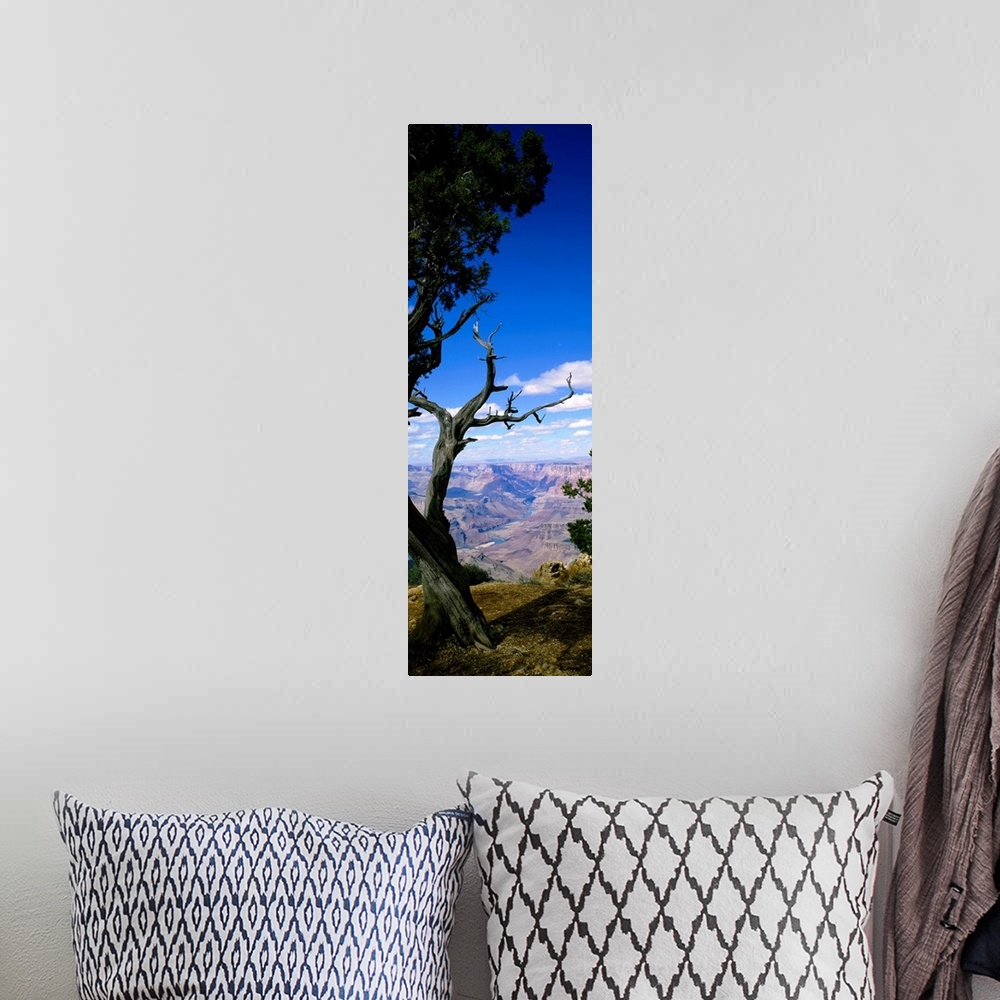 A bohemian room featuring Huge vertical photograph involving a close-up of a tree in Grand Canyon National Park, Arizona (A...