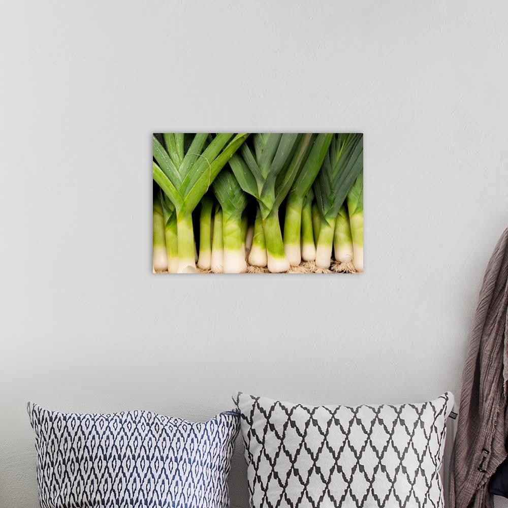 A bohemian room featuring Close-up of bunch of leeks