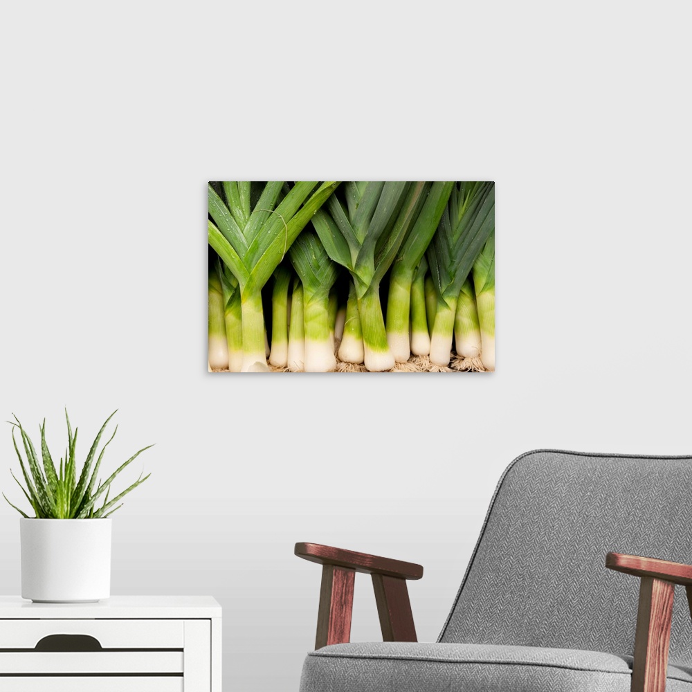 A modern room featuring Close-up of bunch of leeks