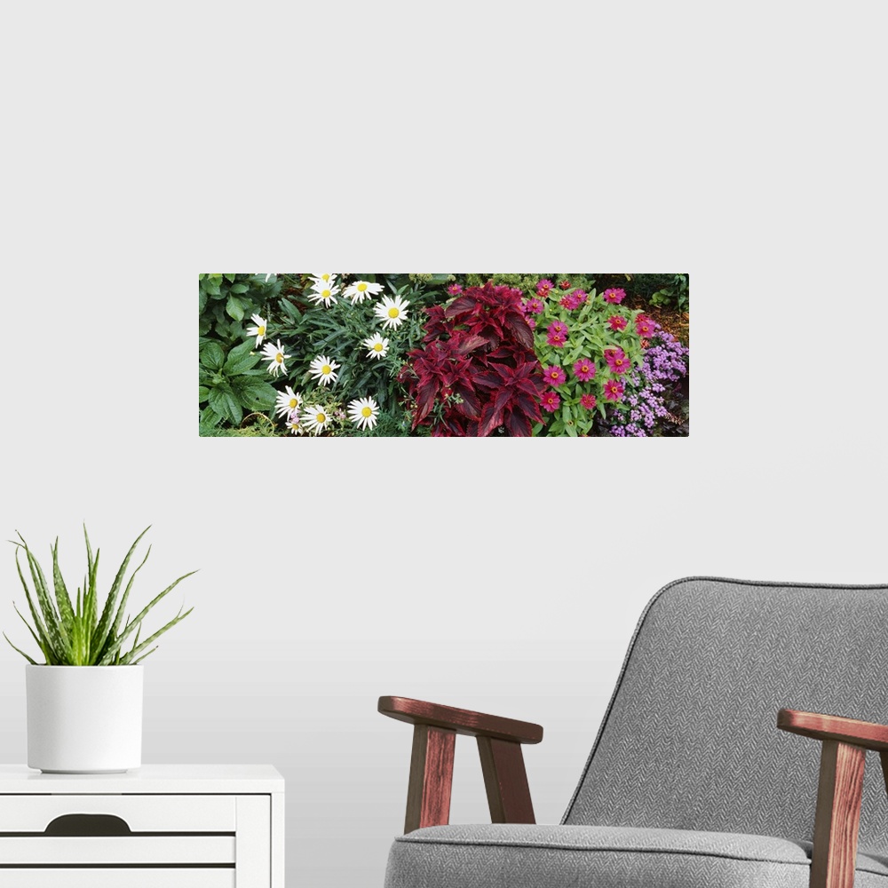 A modern room featuring Close-up of flowers, Adirondack Mountains, New York State