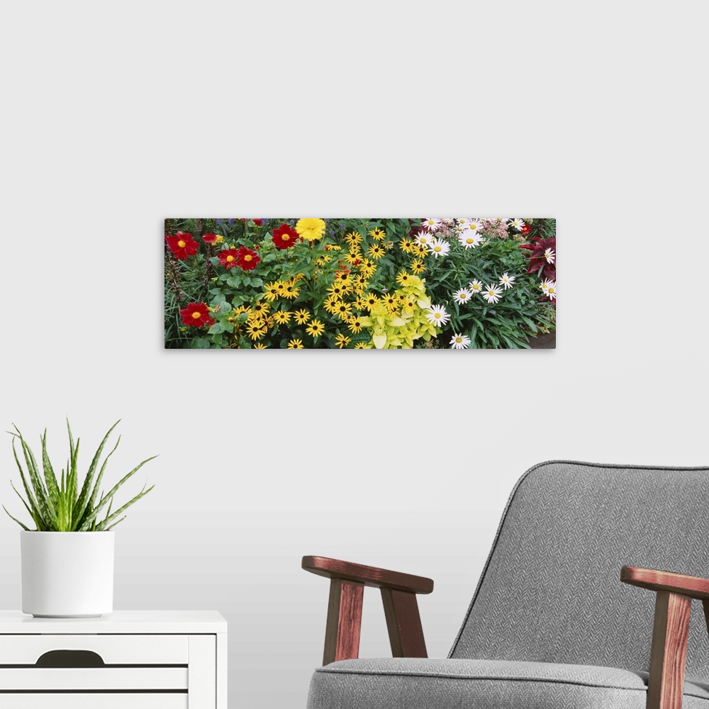 A modern room featuring Close-up of flowers, Adirondack Mountains, New York state