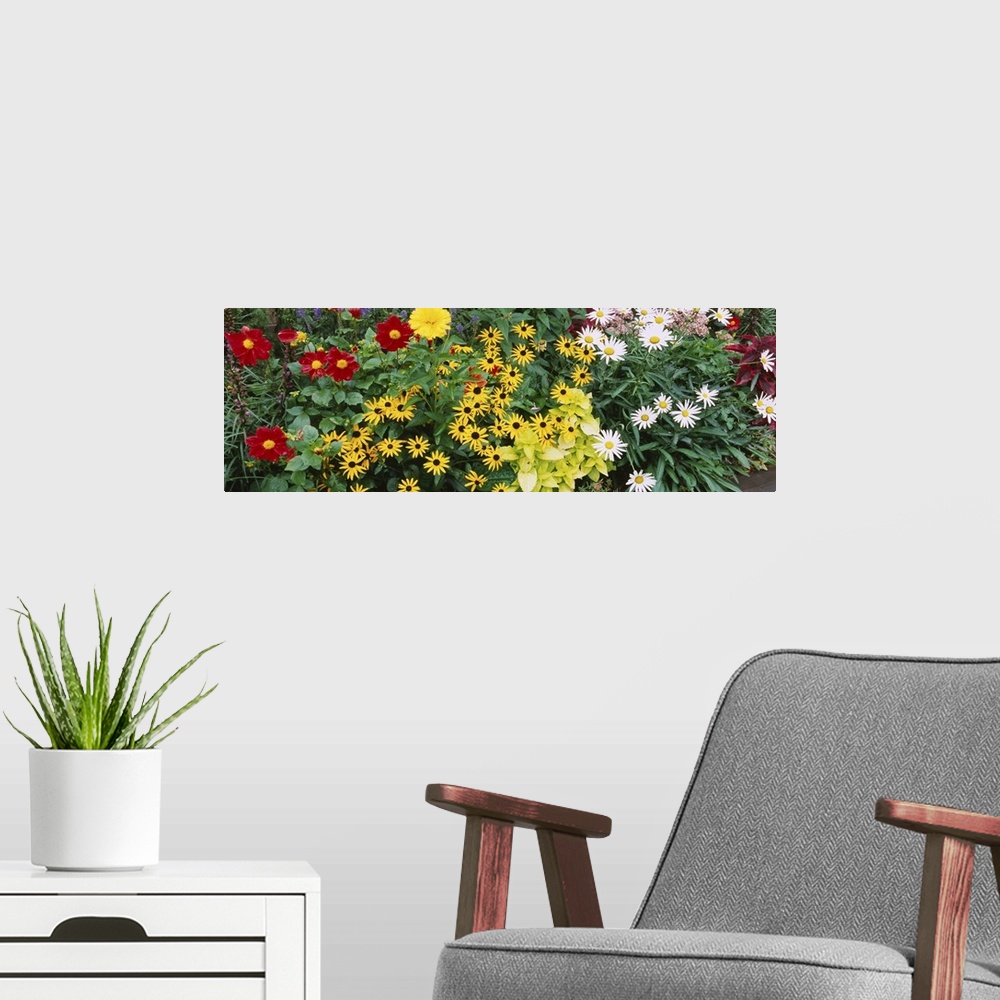 A modern room featuring Close-up of flowers, Adirondack Mountains, New York state
