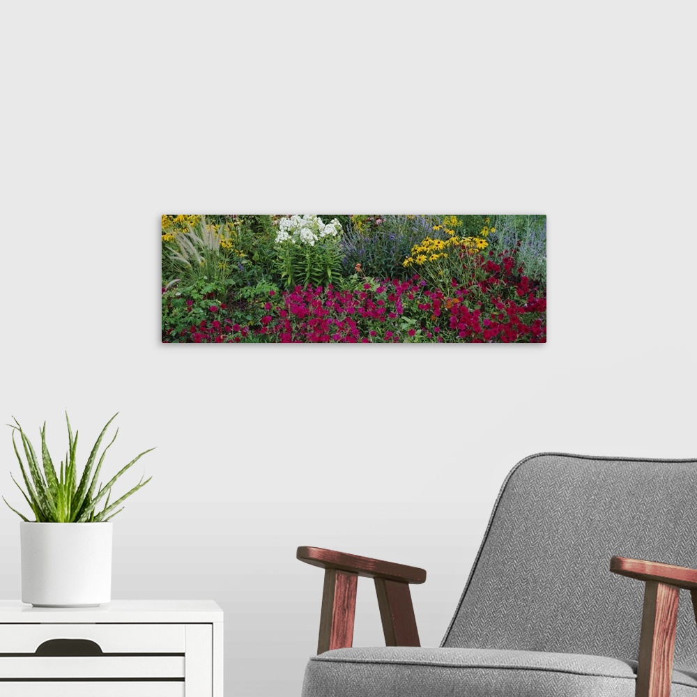 A modern room featuring Close-up of flowers in a garden