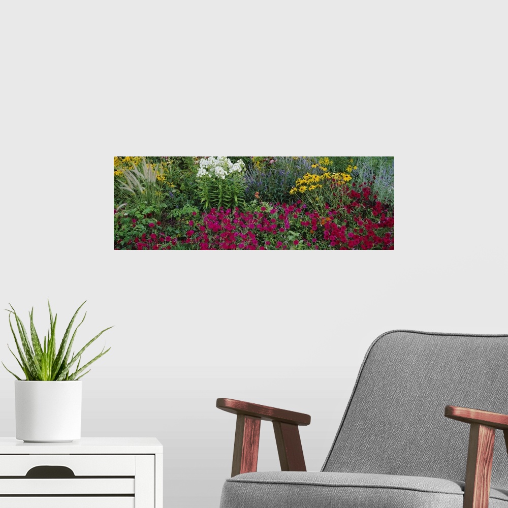 A modern room featuring Close-up of flowers in a garden