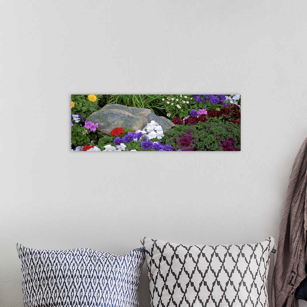 A bohemian room featuring Close-up of flowers in a garden, Alaska
