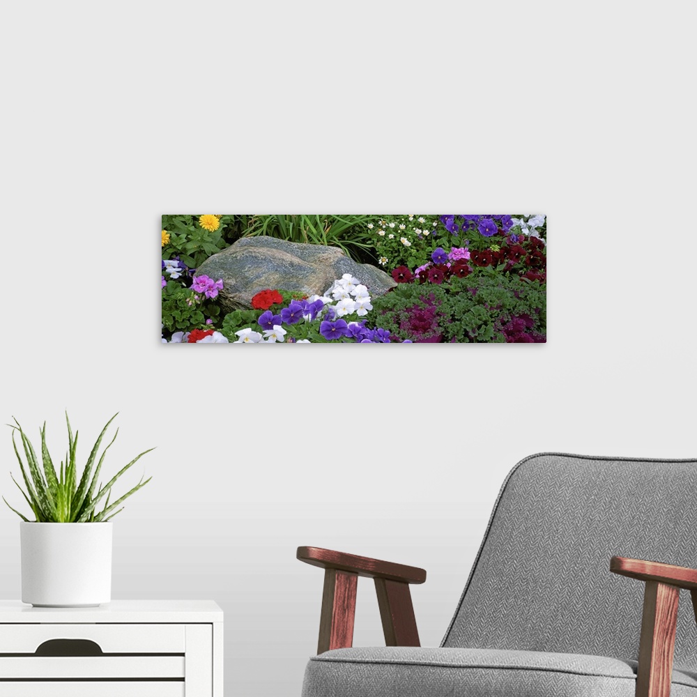 A modern room featuring Close-up of flowers in a garden, Alaska