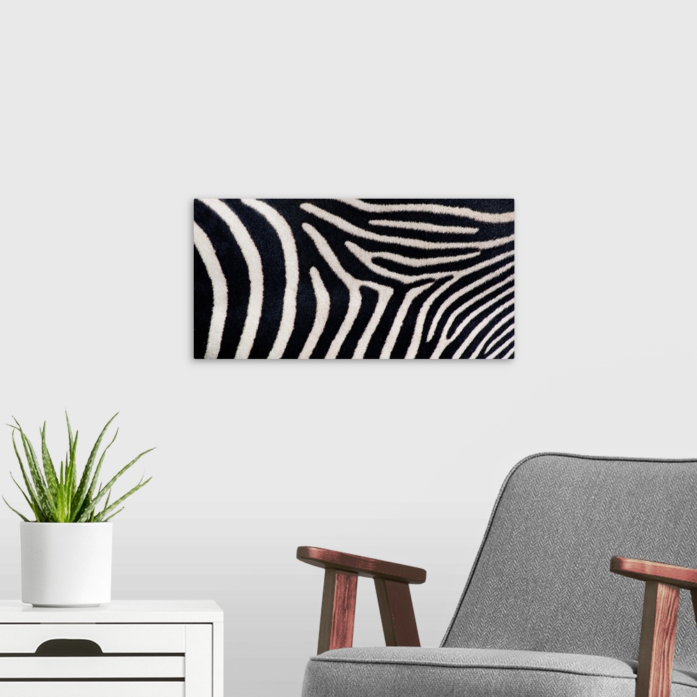 A modern room featuring Landscape, close up photograph on a big canvas of fuzzy, greveys zebra stripes.