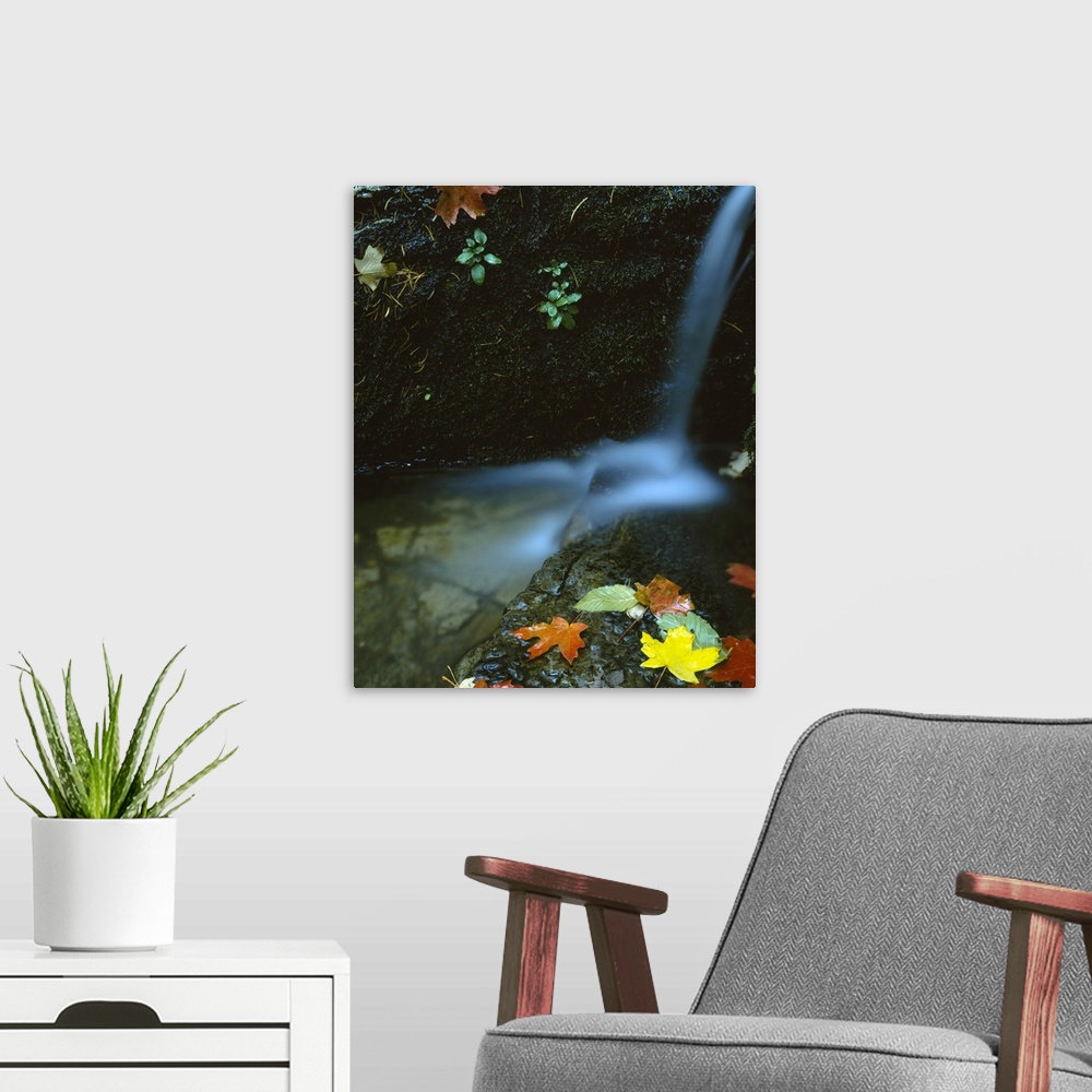 A modern room featuring Photograph of small waterfall cascading into a small pond with large rock covered in autumn leaves.