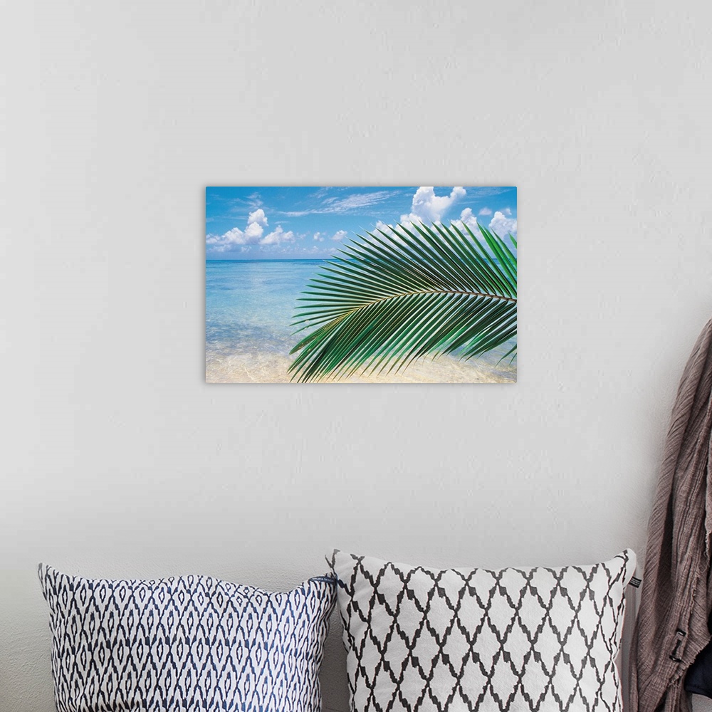 A bohemian room featuring Close up of palm leaf with sea in background