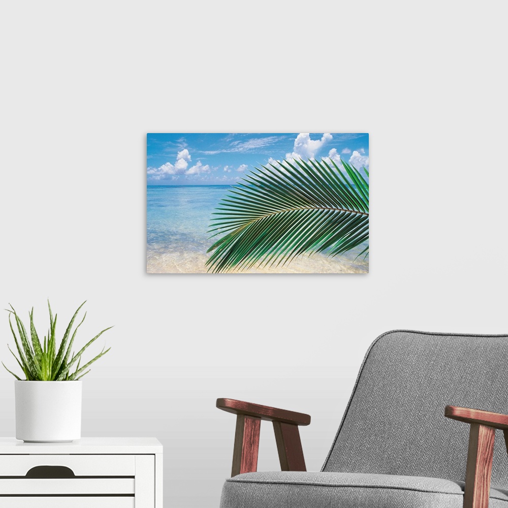 A modern room featuring Close up of palm leaf with sea in background