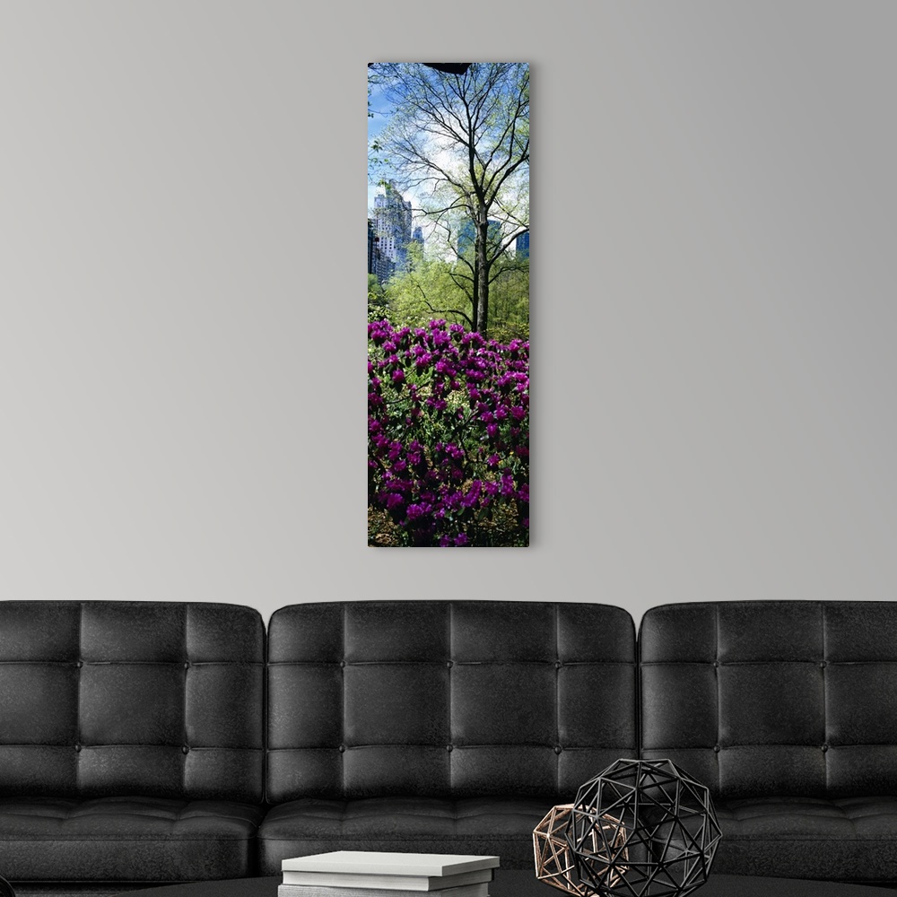 A modern room featuring Tall and narrow canvas photo of flowers in NYC with tall skyscrapers in the distance.
