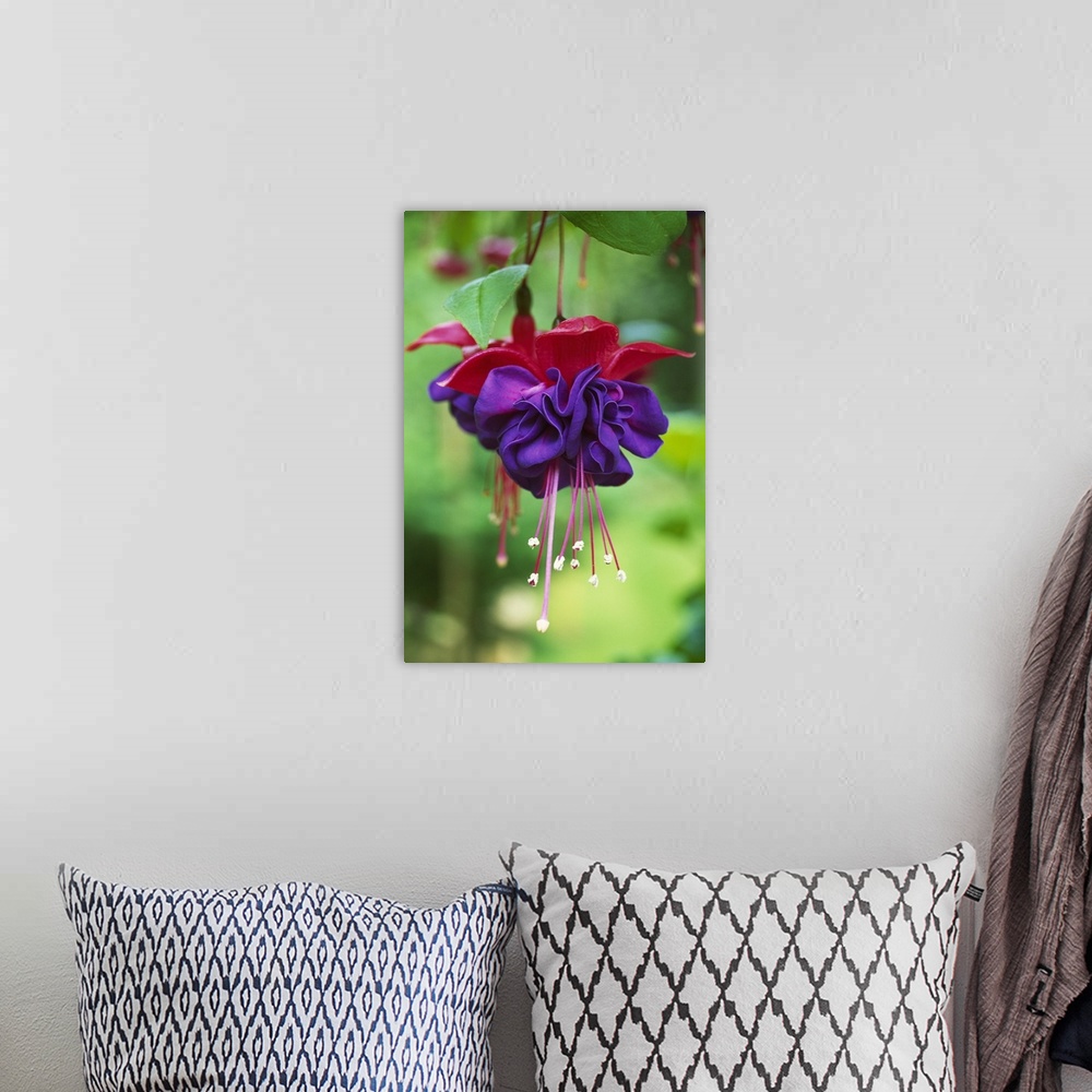A bohemian room featuring Vertical image of a brightly colored flower on canvas.